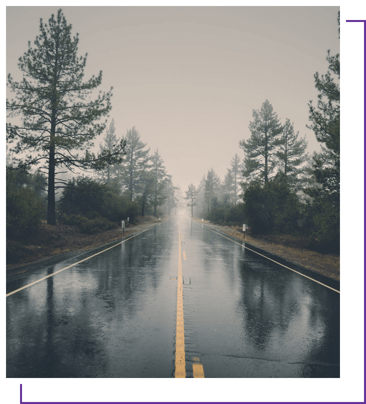 A wet road with trees and water on the side.